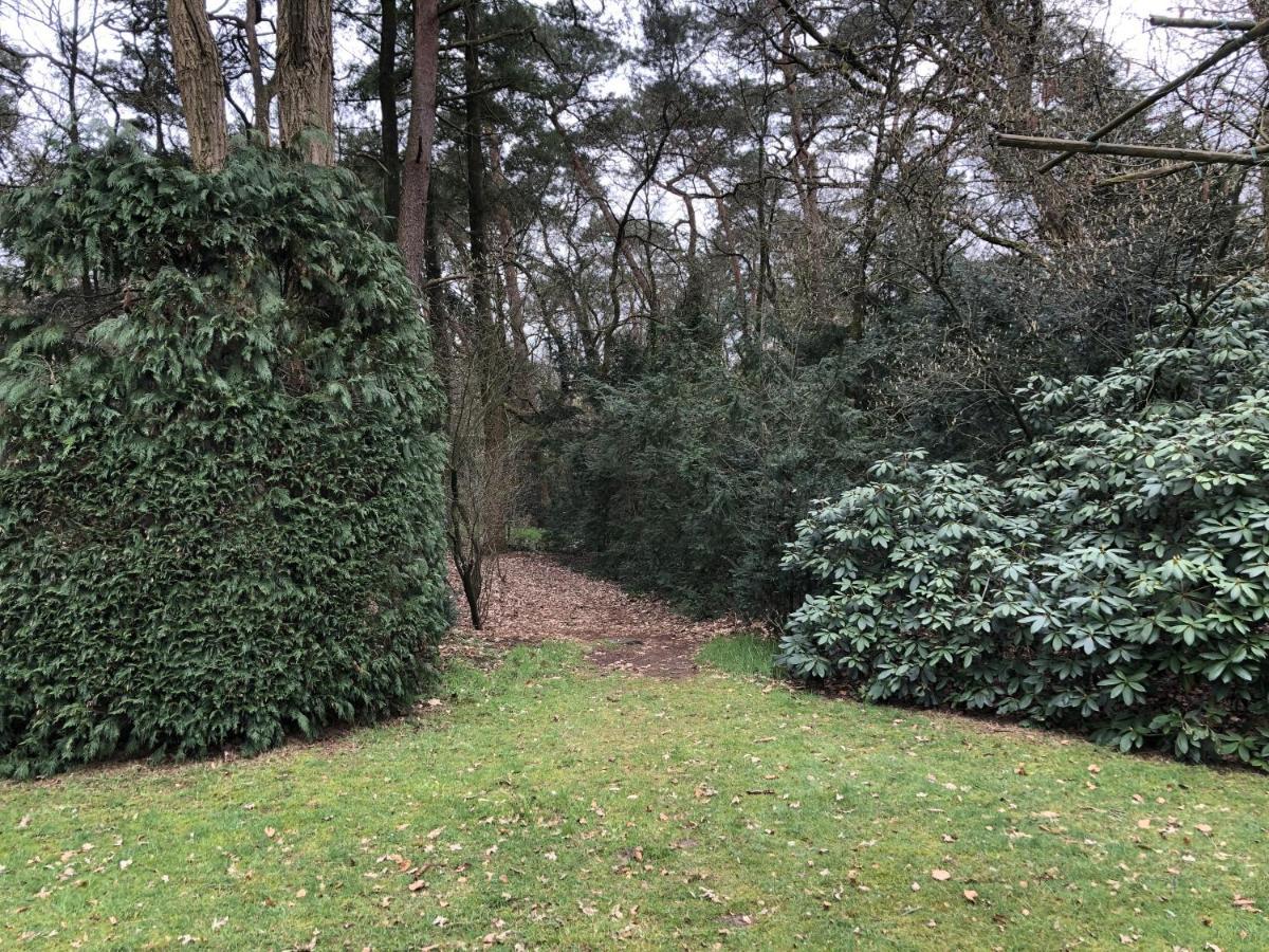 Veluwe Nature Home - 2-4 Persons Otterlo Zewnętrze zdjęcie